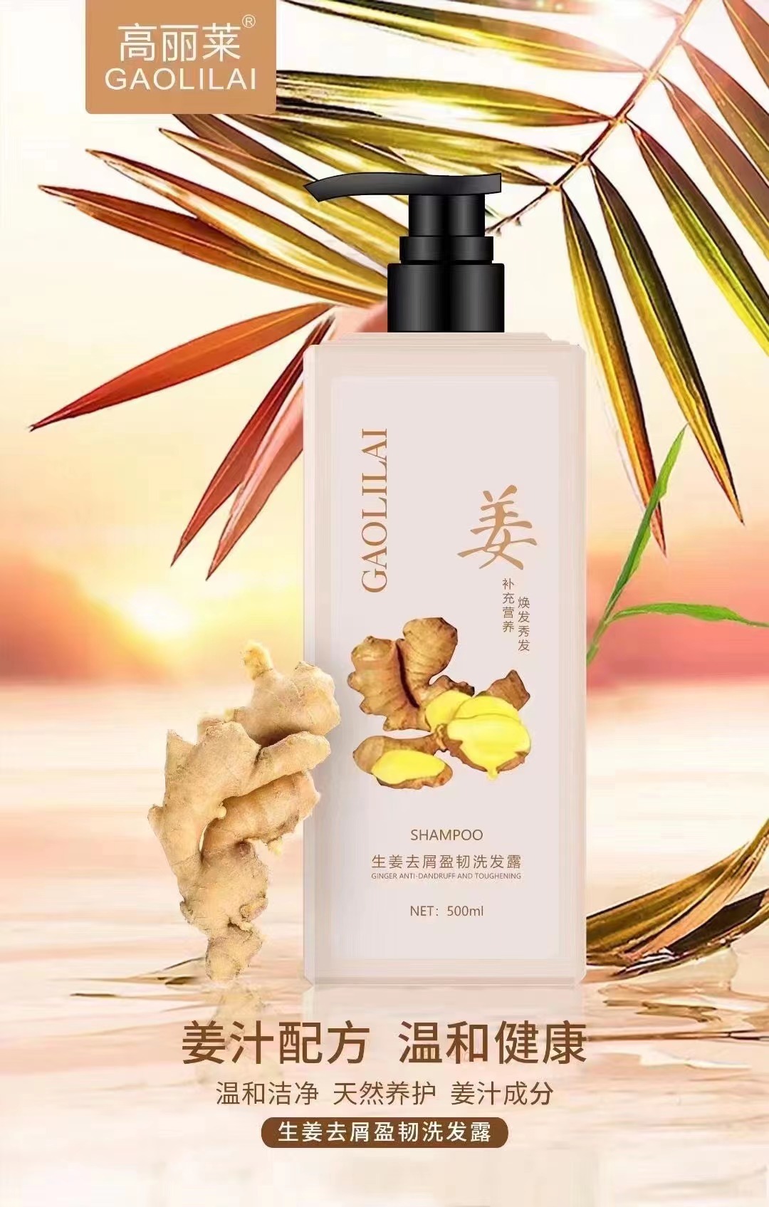 高丽莱老姜王洗发水750ml生姜去屑止痒洗发露柔顺去油洗头膏批发