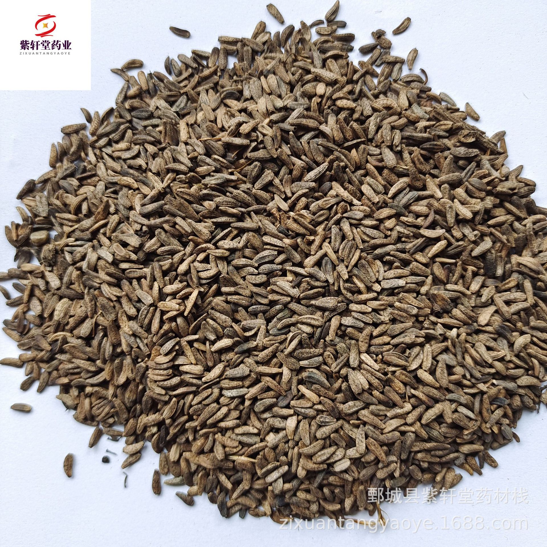 【紫轩堂】牛蒡子500g新货上市量大从优实物拍摄中药材批发牛子