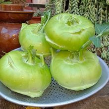 苤蓝芥兰疙瘩新鲜大头菜蔬菜当季薄皮农家苤蓝芥兰