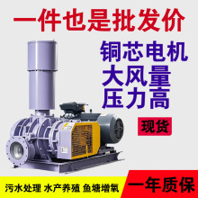 罗茨风机大风量压力高水产养殖鱼苗孵化铜芯电机现货罗茨风机