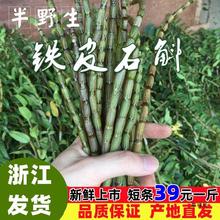 新鲜铁皮石斛鲜条500g乐清雁荡山四年生枫斗石斛浙江安徽材干