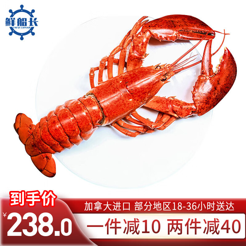 xian.xcz) 加拿大熟冻波龙 波士顿大龙虾 新鲜现捞