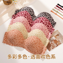 性感豹纹内衣女无钢圈小胸聚拢加厚上托显大侧收副乳防下垂文胸罩