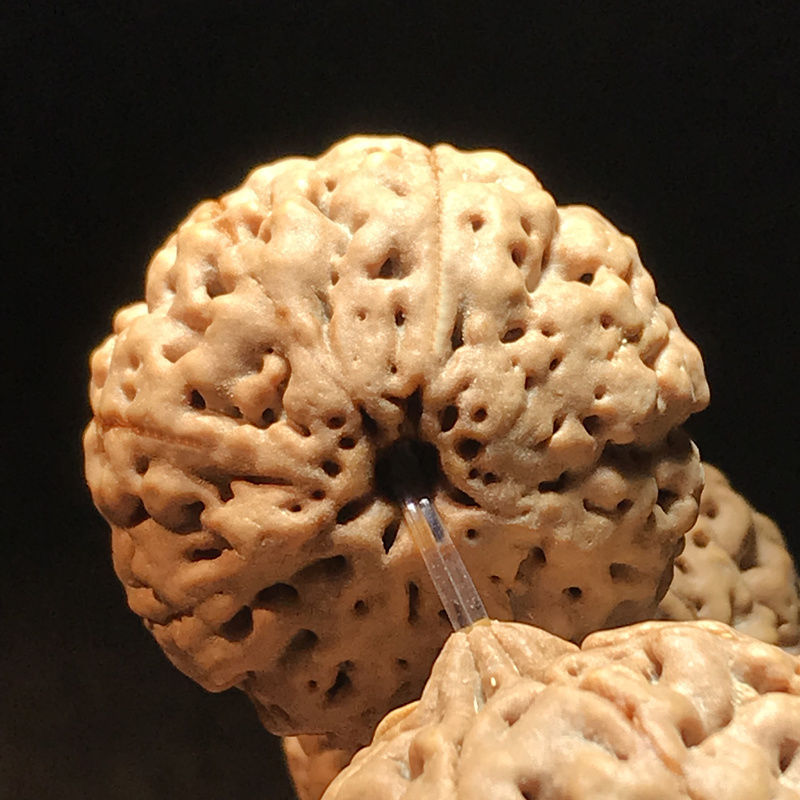 金刚菩提子手串爆肉89瓣姜黄皮蜂王原籽男士佛珠风铃子大手链念珠