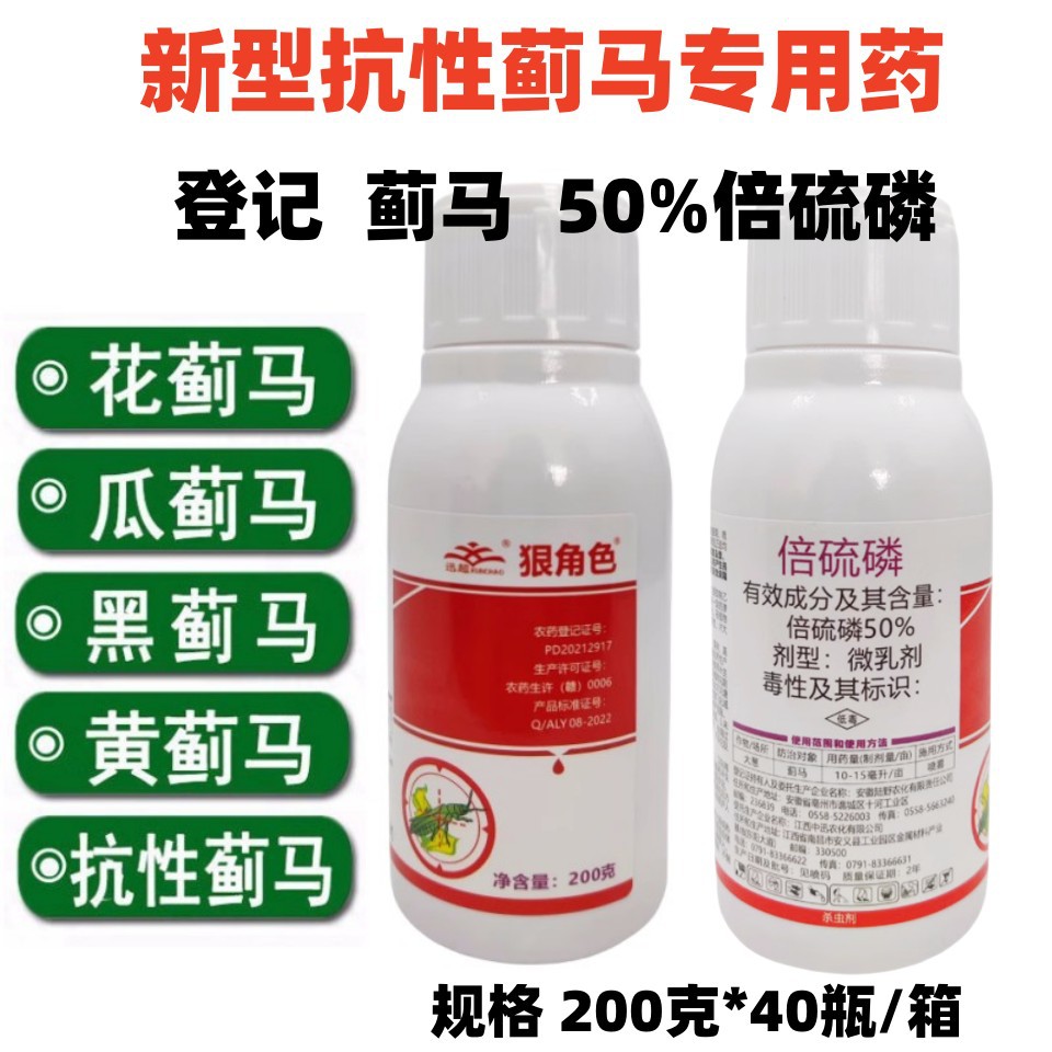 50%倍硫磷膦 蔬菜辣椒茄子豆角黄瓜西瓜抗性蓟马专用药臭虫杀虫剂