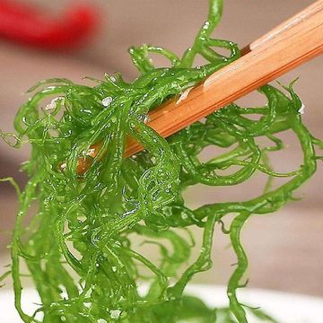 海藻菜福建龙须菜500克凉拌菜火锅美食工厂批发跨境速卖通