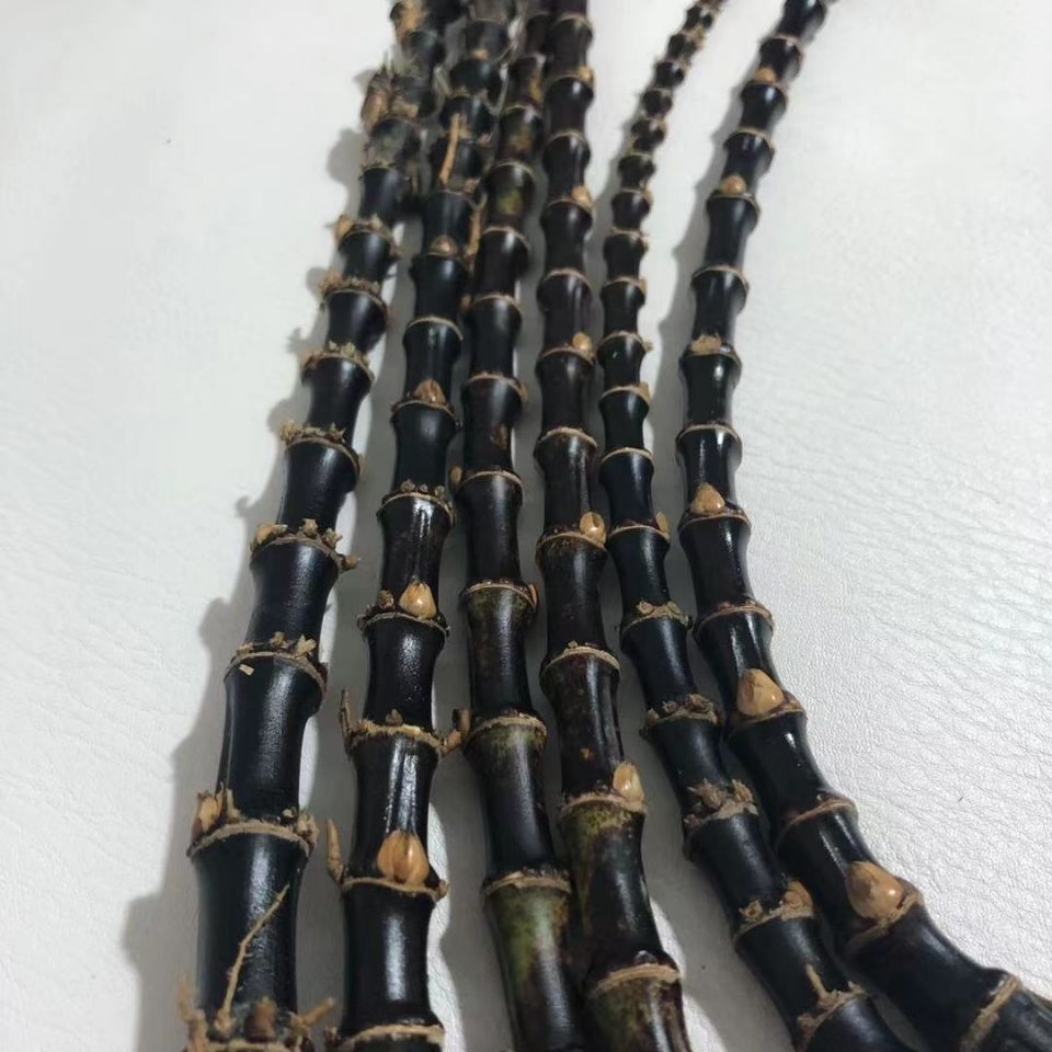 紫竹根黑竹根原材料手把件长度30~40cm左右粗度5~9mm