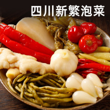 四川新繁泡菜桶装批发商用泡青菜姜萝卜老坛泡菜