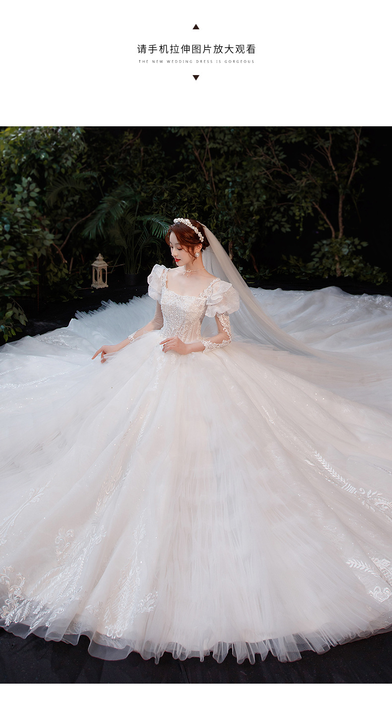 春季长袖轻主婚纱2022新款气质新娘拖尾简约遮粗手臂森系超仙梦幻