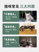 猫咪罐头猫零食罐宠物营养包170g白肉鸡丝汤罐