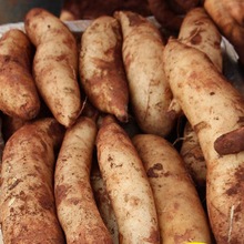 云南天山雪莲果新鲜水果12斤应当季现挖雪连果红心正品整箱包邮10