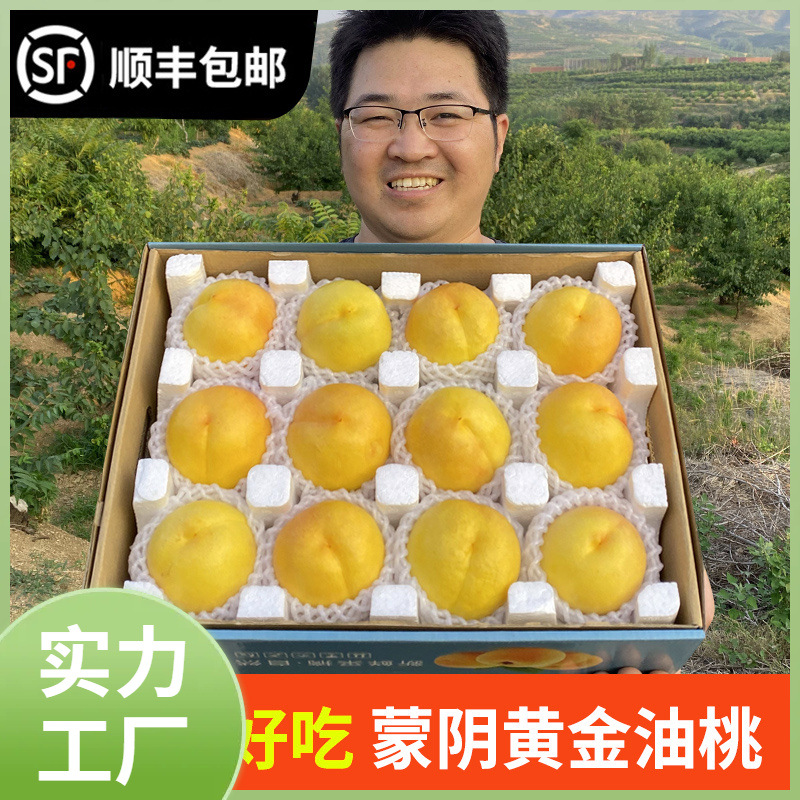 ll油桃山东蒙阴蜜桃水果新鲜整箱当季脆黄桃孕妇大桃子5斤纯-阿里巴巴