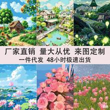 数字油画diy填充花卉植物油彩涂色卧室装饰画批发跨境抖音代发