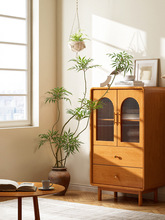 森空间仿真绿植装饰十大功劳室内客厅角落植物简约奶油风假树盆栽