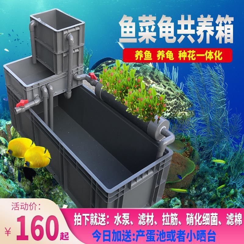 乌龟缸塑料加厚特大号带循环过滤养龟水族箱巴西龟池盆免换水鱼缸
