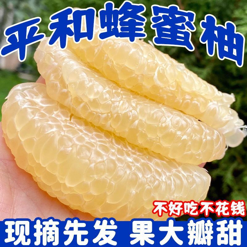 福建平和白心蜜柚0斤白肉柚子薄皮新鲜当季孕妇水果大果整箱包邮