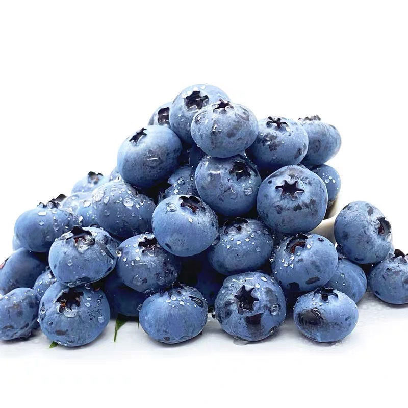优质蓝莓