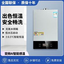 新品家用燃气热水器强排式液化气天然气热水器恒温低水压平批发