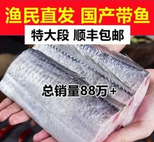 顺丰包邮带鱼段中段大段野生带鱼中段刀鱼新鲜冷冻整箱海鲜批发