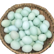 绿壳鸡蛋乌鸡蛋土鸡蛋农家散养月子蛋整箱批发新鲜草鸡蛋一件代发