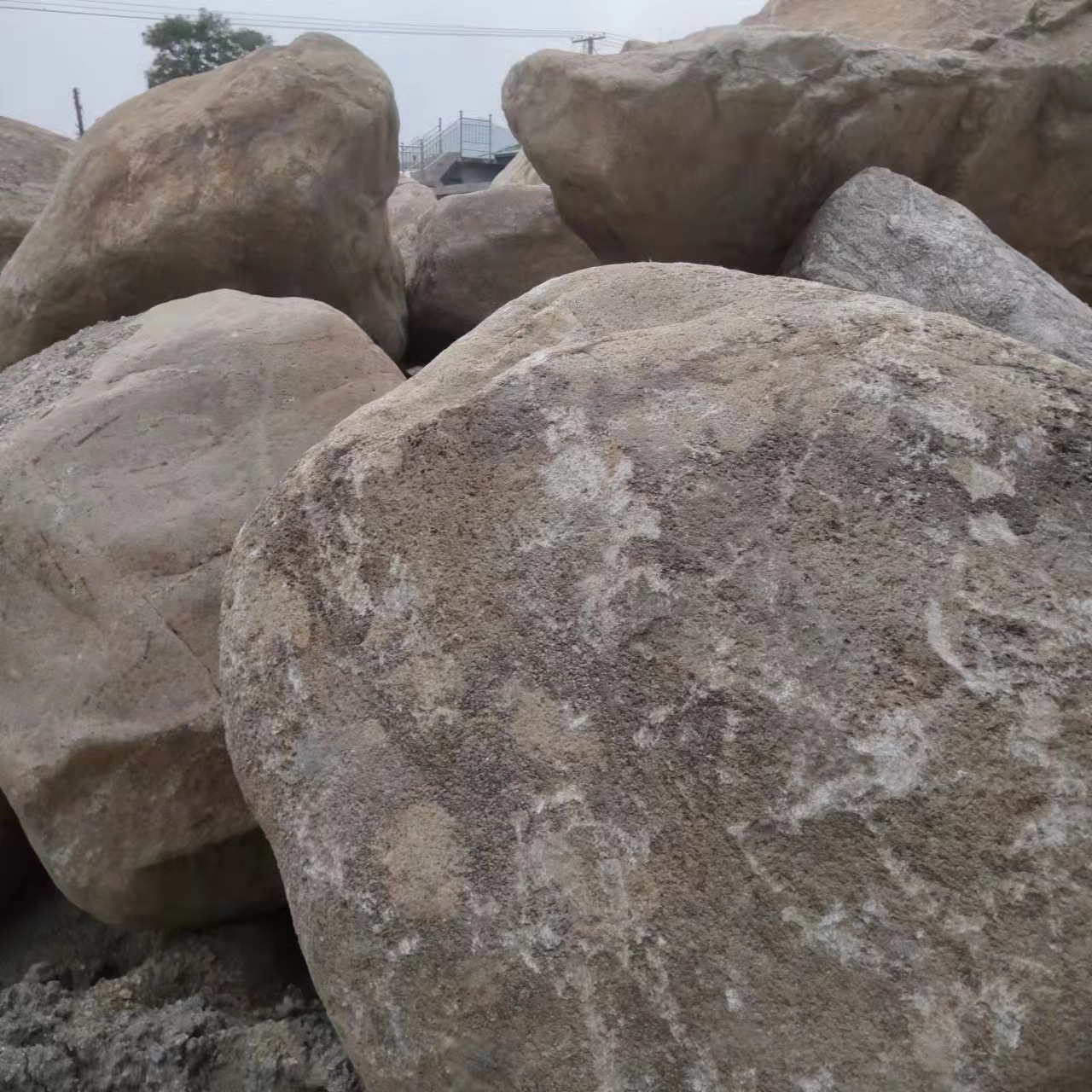 公园造景景观石小区庭院装饰风景石园林绿化鹅卵石花岗岩