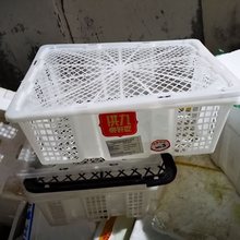 白色水果蔬菜筐批发5个1组起批 可装水果蔬菜鸽子家禽海鲜小动物