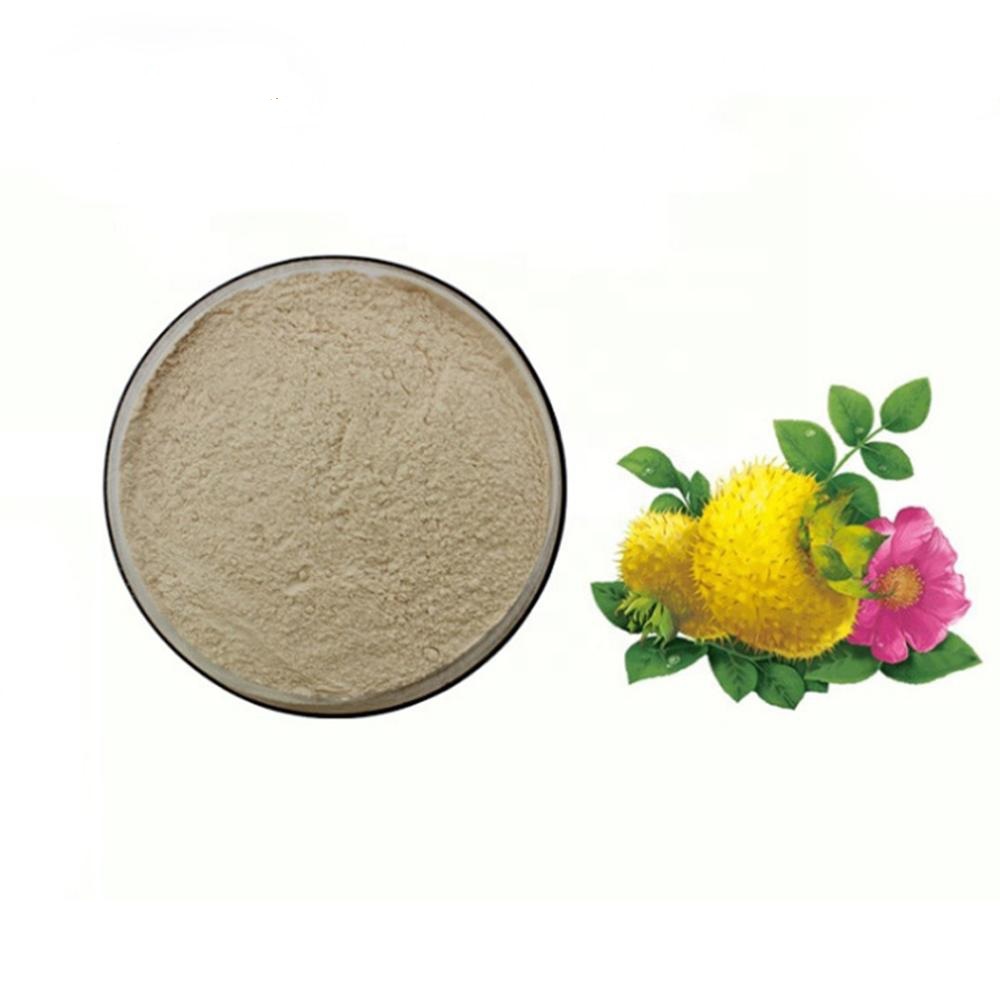 跨境刺梨提取物50:1 刺梨粉 外贸刺梨植物提取物500克-阿里巴巴