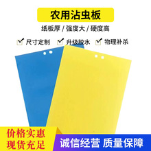 粘虫板黄色诱虫板蓝黄一体双面粘虫板农业园林捕虫贴果实蝇诱捕器