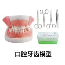 口腔缝合练习模型带针线器械备牙牙周可拆卸牙龈缝合医用教学考试