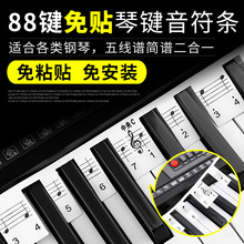 免安装粘贴钢琴键盘贴纸88键琴贴五线谱简谱二合一音标贴音符贴纸