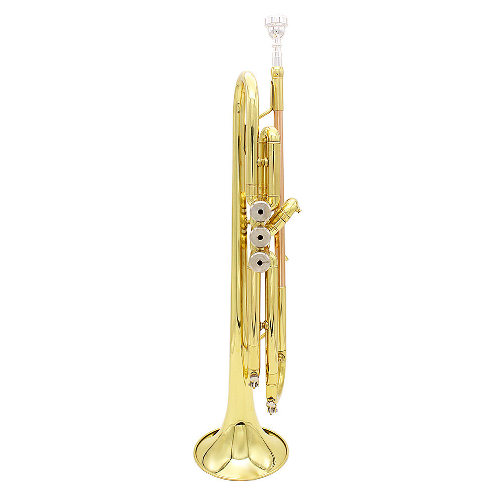 lade雷德降b磷铜小号西洋乐器管乐乐器成人学生都可用乐器