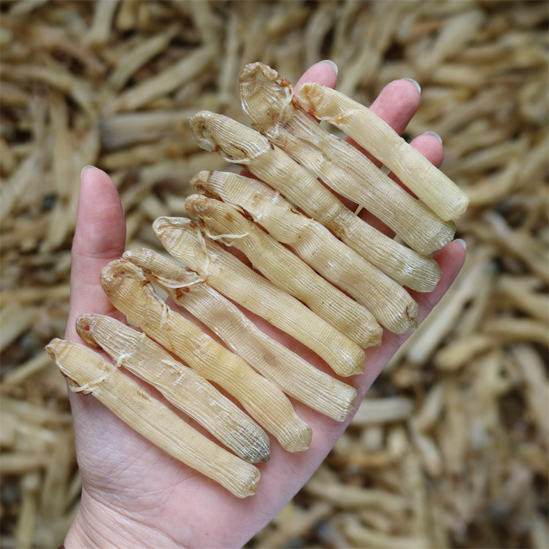 沙虫干 广西北海特产沙虫干煲汤煮粥大号老沙虫干货批发-阿里巴巴