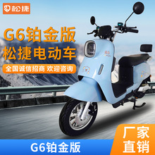 松捷电动车 G6电动车铂金版 家用 新国标可上牌