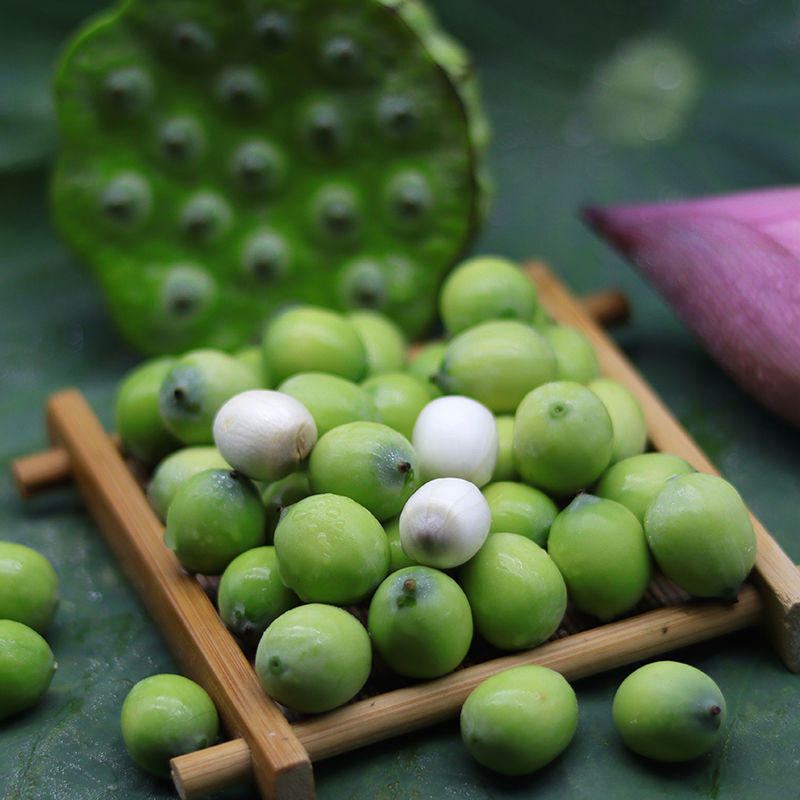莲蓬新鲜生吃现摘莲子嫩莲米水果湖南湘莲当季时令蔬果批发价批发