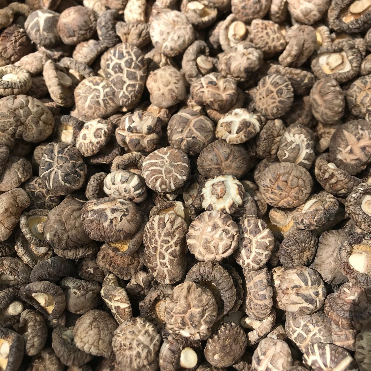 福建古田花菇500g 肉厚冬菇香菇产地货源直供香菇干批发