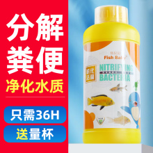 硝化细菌鱼缸用消化细菌鱼用水族活菌液水质稳定剂净水剂净化活性