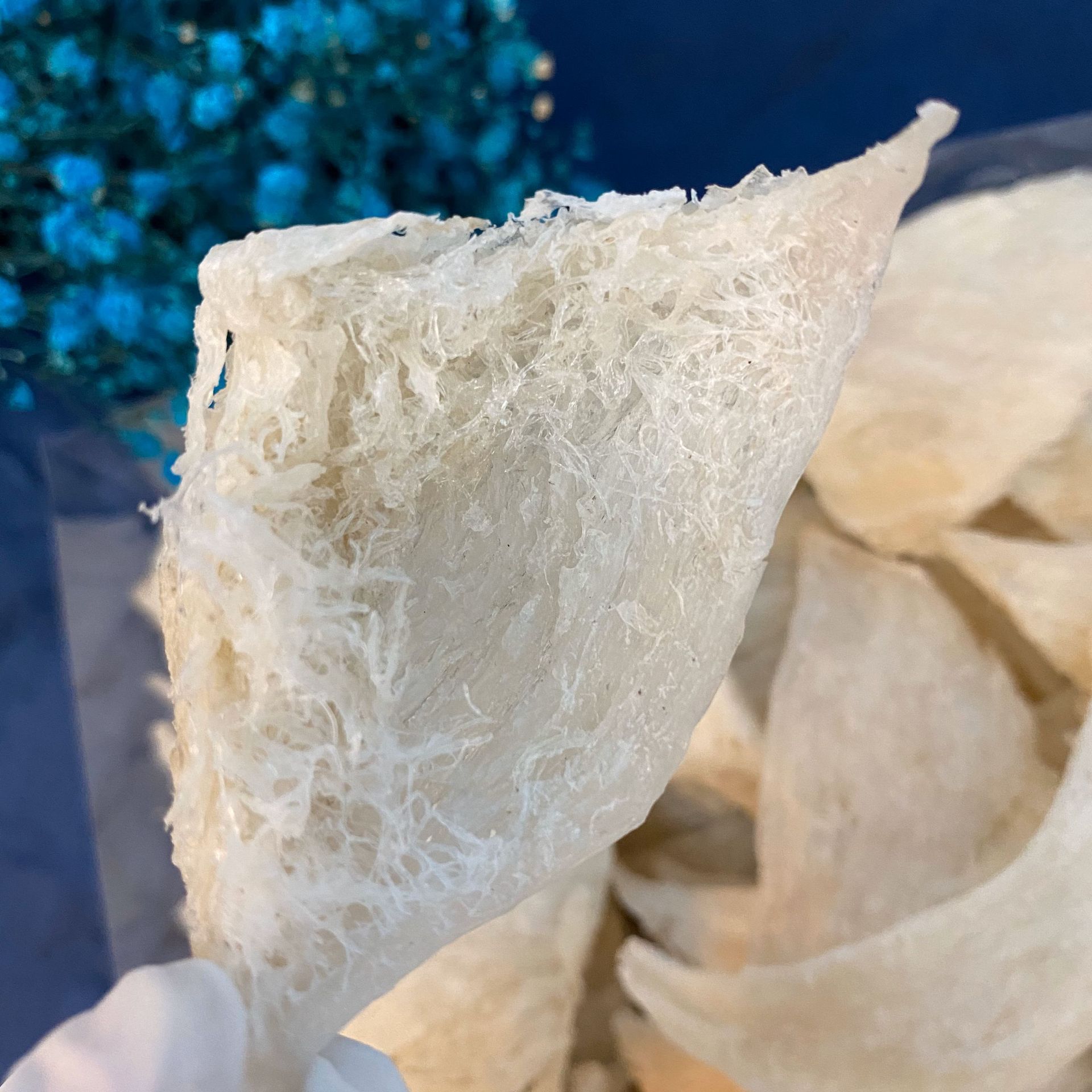 燕窝批发三角盏 干挑三角盏三角条 无漂白不刷胶足干原盒550克