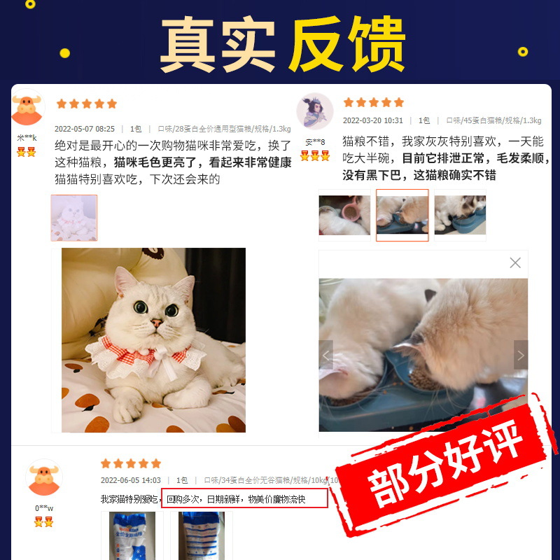 Cat Food Wholesale Non-Grain Cat Food into Cat Kittens Blue Cat Universal Full Price Cat Staple Food One Piece Dropshipping Cat Food Manufacturer