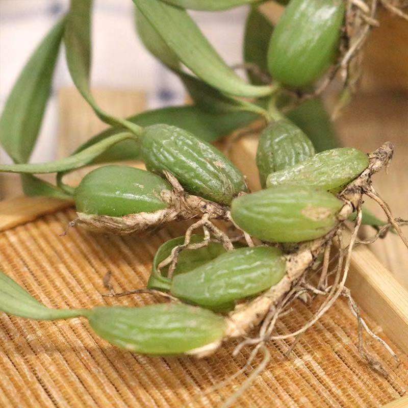 石橄榄新鲜广西双叶中小号仙桃果炖汤补品煲汤材料单叶代发