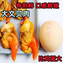 丹东特产大文贝干大个黄蚬子干真空即食无沙去内脏新鲜海鲜零食