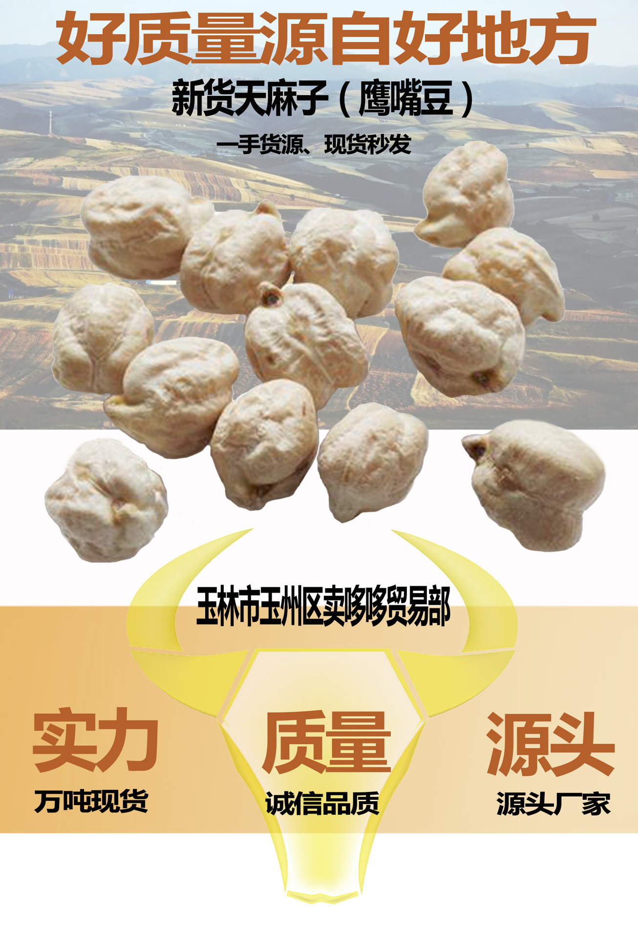 鹰嘴豆天麻子展会货源 散装鹰嘴豆五谷杂粮豆类批发