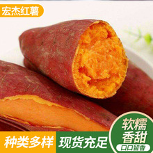 批发龙薯9红薯繁育基地种植 新鲜现挖红心地瓜烤地瓜 电烤红薯用
