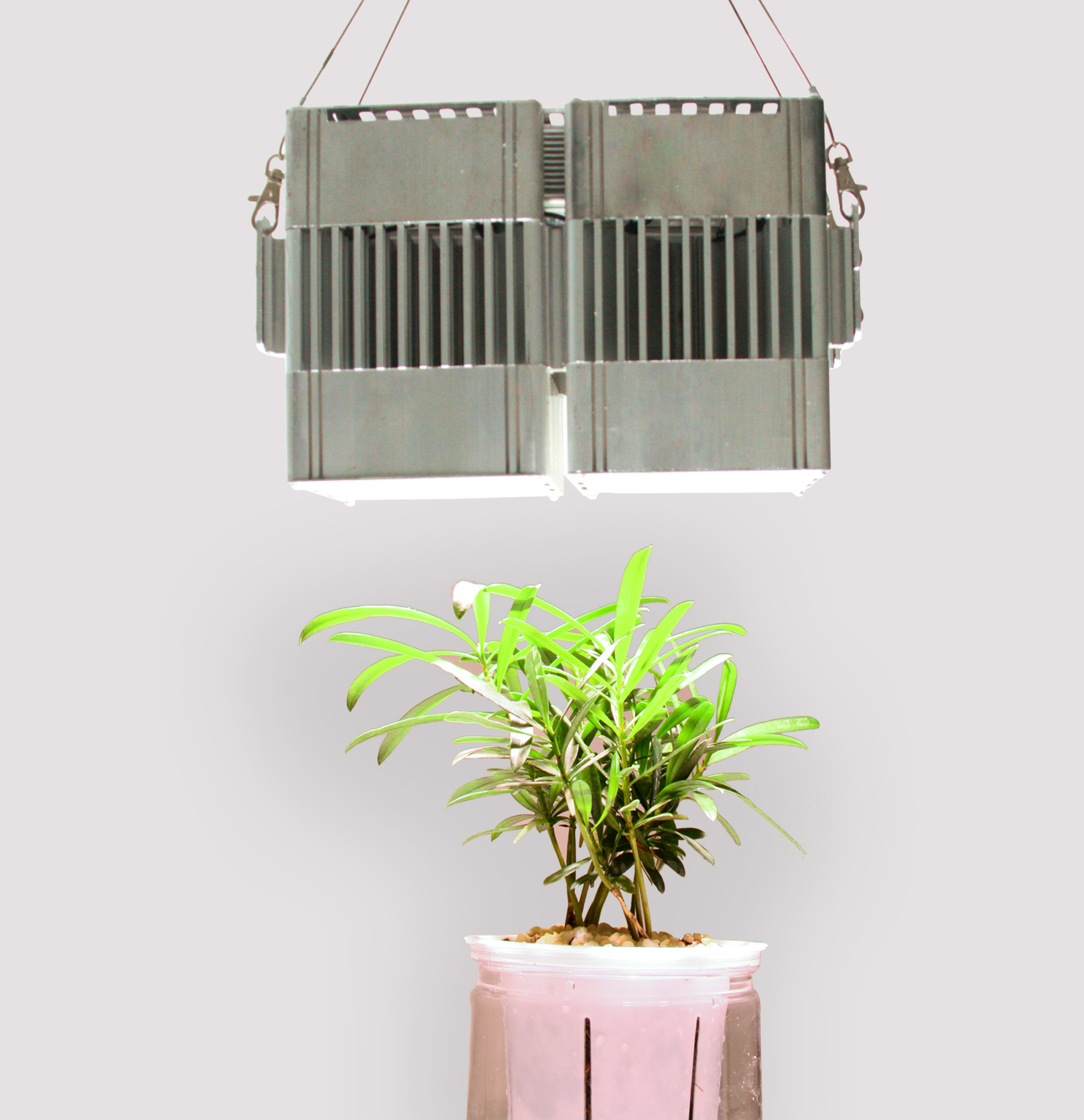 厂家直销多肉花卉蔬菜种植补光灯室内温室100wled植物生长灯