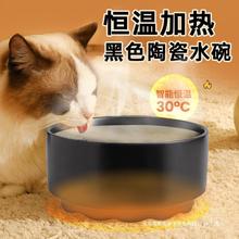 猫咪恒温酸奶饮水机宠物加热饮水器陶瓷黑碗喝水幼猫喂食狗狗用品