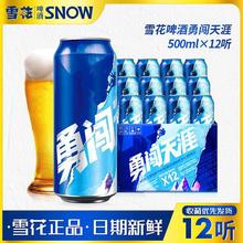 勇闯天涯拉罐啤酒500ml*听装整箱市同款听装新啤酒