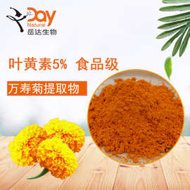 叶黄素 万寿菊提取物5% 食品级别 黄色素 天然