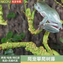 NC爬宠攀爬树藤树蛙蜜袋鼯睫角守宫蜥蜴仿真藤条大枯藤软装假树藤