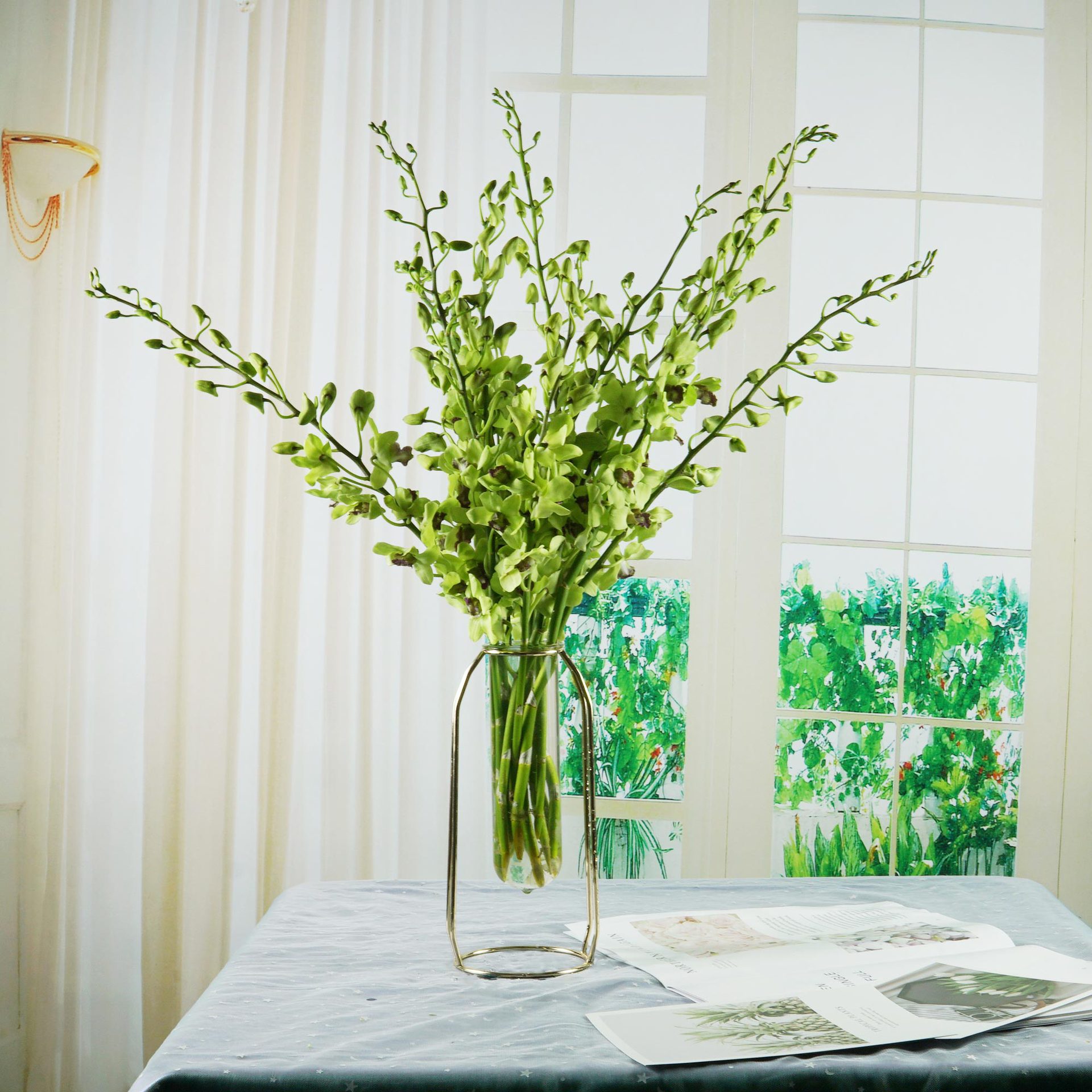 泰国洋兰花串鲜花洋兰花斗南直发新鲜真花插花昆明花卉市场