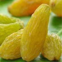 葡萄干新货吐鲁番新疆特产提子干吐鲁番大颗粒零食厂家厂家批发