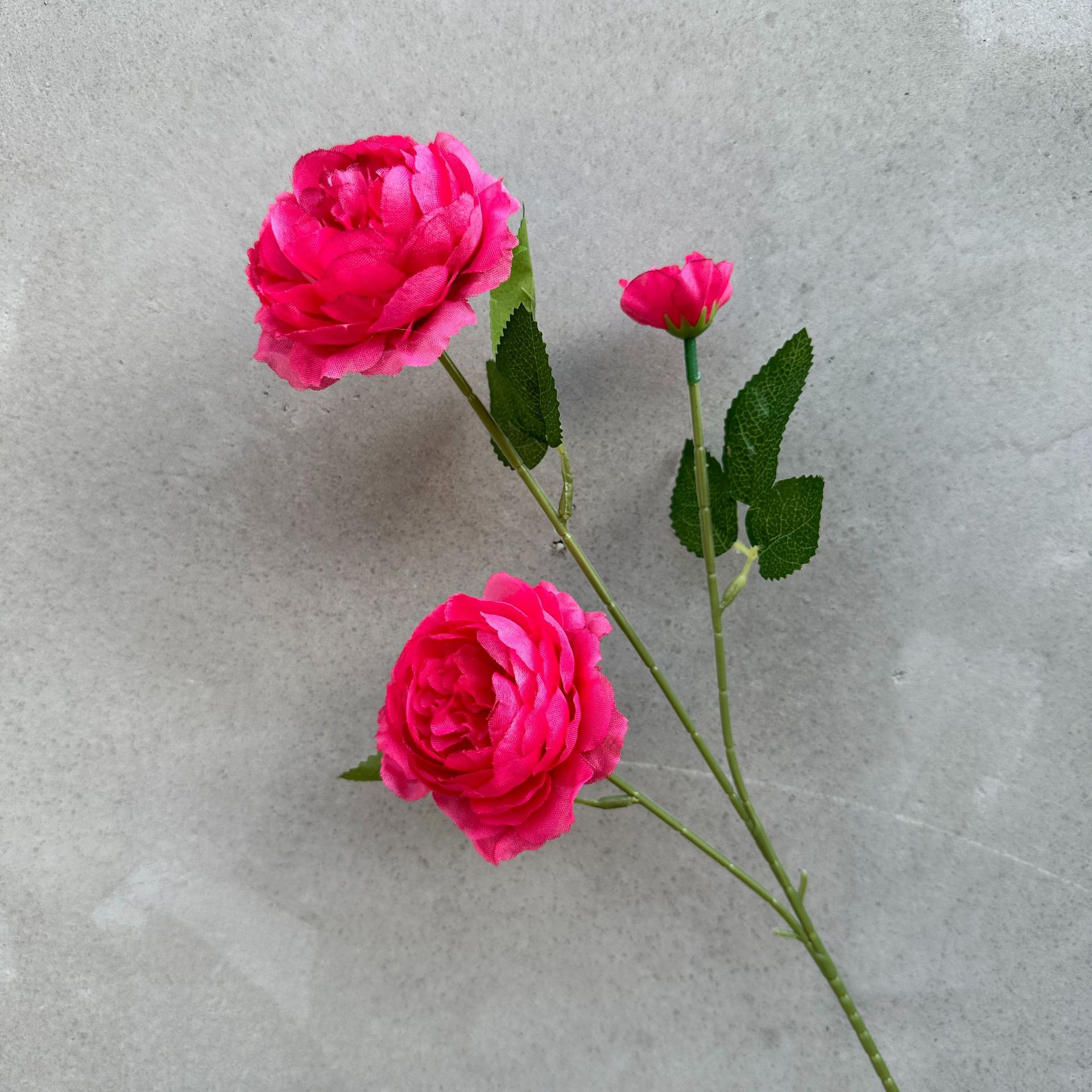 Ranunculus Asiaticus Brazil Rose Wedding Simulation Flower Fake Flower Artificial Flowers Home Base Dress up Props Wholesale